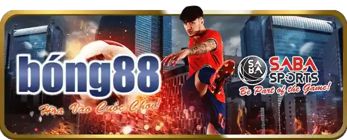 Cá cược bóng rổ 333vin